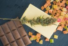 Why Take CBD Edibles? Benefits & Effects Of It