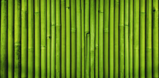 Why Should You Consider Installing Bamboo Fencing?
