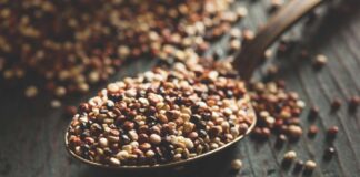 Expert Picks for Plant-Based Proteins