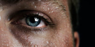 Everything You Always Wanted to Know About Sweat