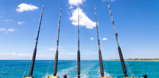 Are Some Fishing Methods More Sustainable Than Others?