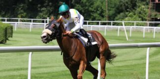 Everything To Know About The Grade I Runhappy Travers Stakes