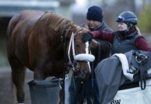 Exercise rider Hutter showing improvement – Daily Racing Form