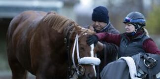 Exercise rider Hutter showing improvement – Daily Racing Form