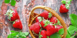 What the Science Actually Says About Berries and Dementia Prevention