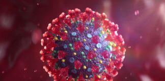 Still Exists? Know About The Current Situation