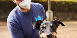 Wallis Annenberg PetSpace Helps Shelter Animals To Exercise