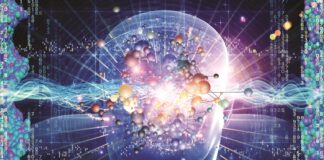 Long COVID’s Neurological Impact After 2 Years; Regular Exercise Lowers Risk of Severe Illness from Infection; and More