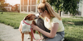 A Mindful Approach to Charitable Giving