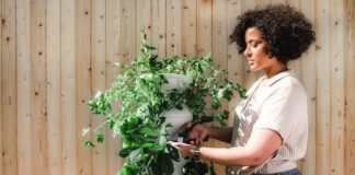 How To Transform Your Garden On A Budget