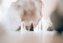 Wellness Trends For 2023: Art Of Healthy Living Predicts