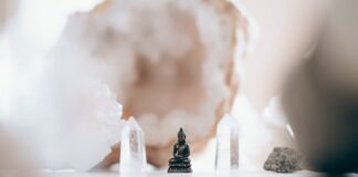 Wellness Trends For 2023: Art Of Healthy Living Predicts