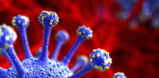 Post-COVID Fatigue, Exercise Intolerance Signal ME/CFS