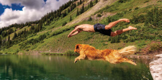 5 Adventures to Take With Your Dog