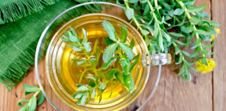 How to Use Rhodiola for Energy and Focus