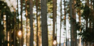 The Many Ways In Which Dogs Are The Perfect Companions For Seniors