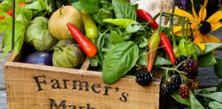 What Farmers Market Produce Is In Season This Fall