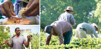 What Is Food Justice?