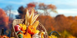 50+ ACTIVE LIVING: Opportunities for exercise and games at the Centre