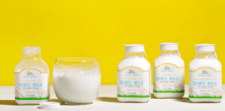 Various Nutritional and Health Benefits of Camel Milk