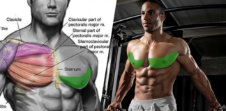 Forgotten Lower Chest Exercises To Perfectly Define Your Pecs | BOXROX – BOXROX