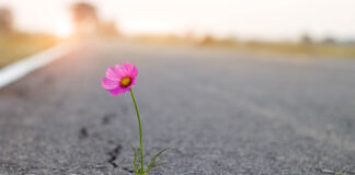 A Meditation on Choosing to Love — Even When It’s Difficult