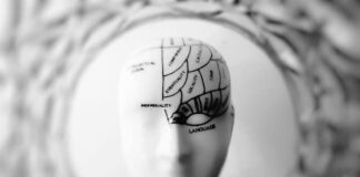 What Parts of the Brain Does Alzheimer’s Affect?