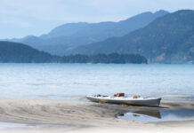 6 Strategies to Cope With Climate-Change Anxiety