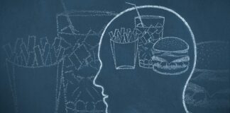 This Is Your Brain on Junk Food