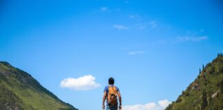 Meal Plan Will Influence The Balance Of Your Hormones