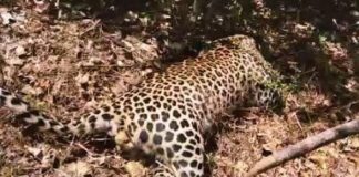 Kengeri Cops on night patrol advised to exercise caution- The New Indian Express