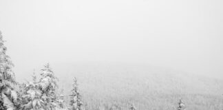 Holiday Anxiety & Depression: 4 Science-Backed Ways to Cope