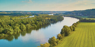 MacArthur Foundation ‘Genius Grant’ Winner Robin Wall Kimmerer Talks About Connecting With Nature