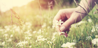 The 4 Pillars of a Joyful Life