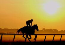 Exercise Rider Dies During Morning Training at Tampa