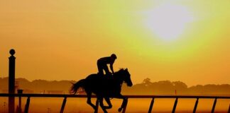 Exercise Rider Dies During Morning Training at Tampa