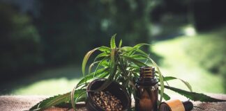 6 Ways To Incorporate Full Spectrum CBD In Your Routine