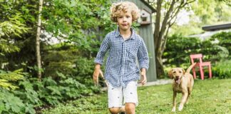 Children get less than an hour of outdoor exercise a week and are glued to screens, research finds