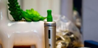 Things You Should Consider Before Buying A CBD Vape Juice