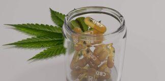 6 Myths To Debunk About CBD Capsules This 2023