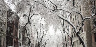 How To Avoid Power Outages In Winter Snowstorms