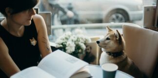 If You’re Thinking Of Getting A Dog