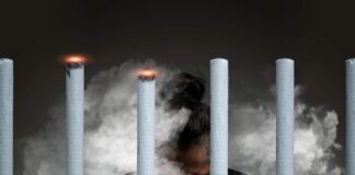 What Nicotine Does To Your Body: Things You Should Know