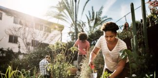 Gardening and the exercise it involves reduce disease risk factors: study