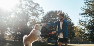 The Joys Of Springtime Exercise With Your Dog