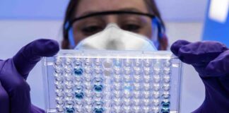 Brain Bug? Clinical Trial Tests Antivirals to Treat Alzheimer’s