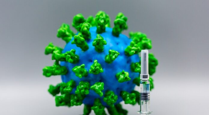 Hit and Run: How Viruses Could Spur Alzheimer’s—and How Vaccines Can Help