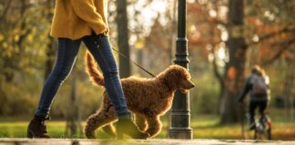 Exercise 150 Minutes a Week? Actually, It’s Not That Hard