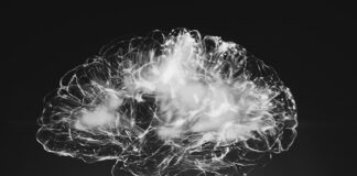 What Causes Alzheimer’s—and Is the Leading Theory ‘Too Big to Fail’?