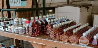 A Guide To Choosing The Best Maple Syrup For Your Kitchen